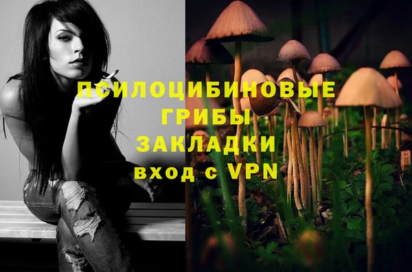 амф Абинск