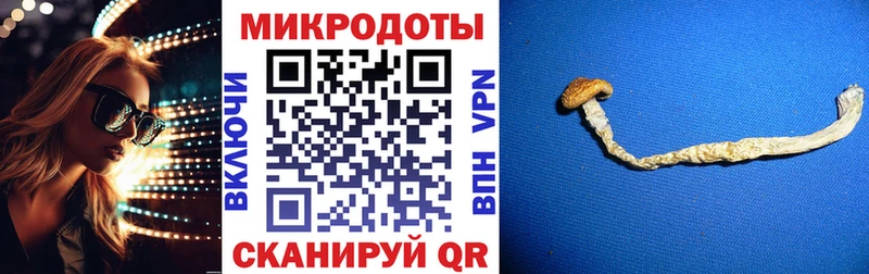 ссылка на мегу зеркало  Королёв  Псилоцибиновые грибы Magic Shrooms 